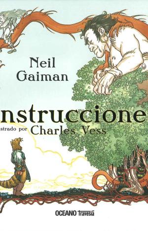 INSTRUCCIONES