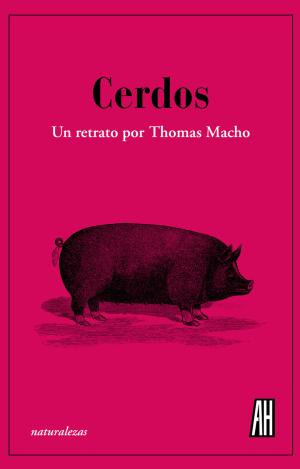 CERDOS