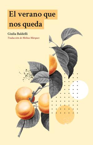 EL VERANO QUE NOS QUEDA