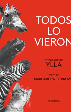 TODOS LO VIERON
