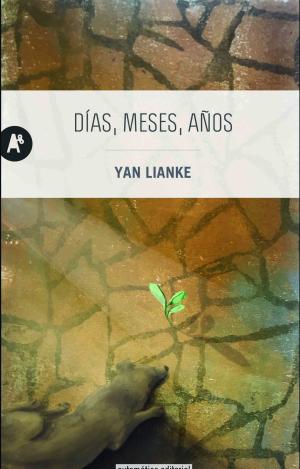 DÍAS, MESES, AÑOS