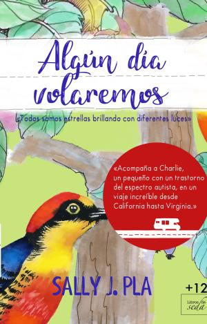ALGÚN DÍA VOLAREMOS