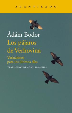 LOS PÁJAROS DE VERHOVINA