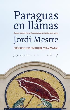 PARAGUAS EN LLAMAS