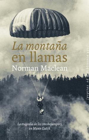LA MONTAÑA EN LLAMAS