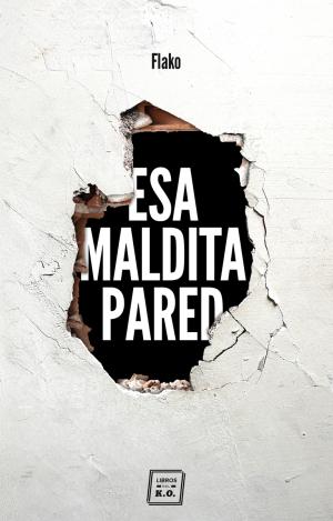 ESA MALDITA PARED