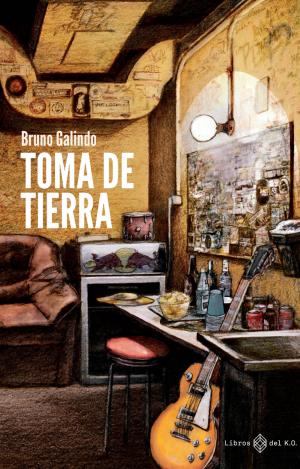 TOMA DE TIERRA