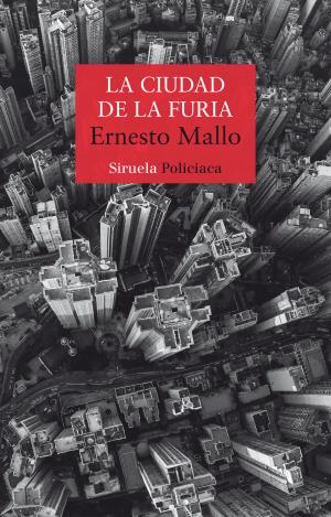 LA CIUDAD DE LA FURIA