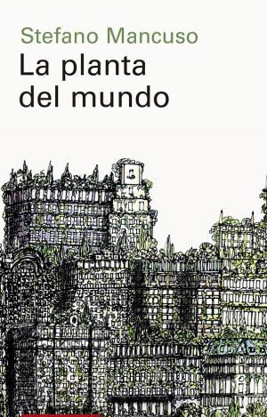 LA PLANTA DEL MUNDO