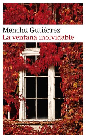 LA VENTANA INOLVIDABLE