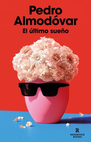 EL ÚLTIMO SUEÑO