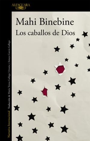 LOS CABALLOS DE DIOS