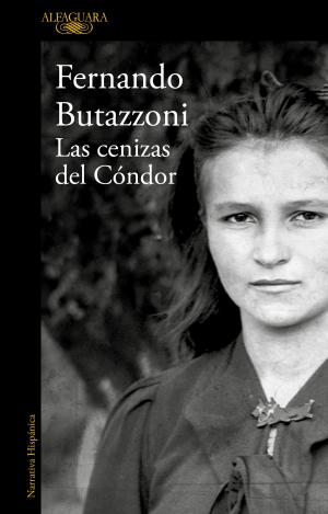 LAS CENIZAS DEL CÓNDOR