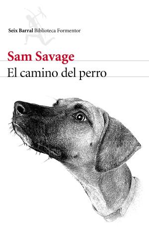 EL CAMINO DEL PERRO