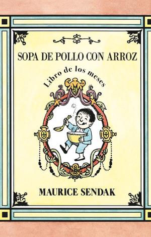 SOPA DE POLLO CON ARROZ, LIBRO DE LOS MESES