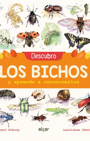 DESCUBRO LOS BICHOS Y APRENDO A RECONOCERLOS
