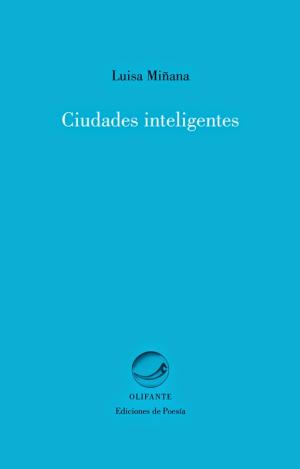CIUDADES INTELIGENTES