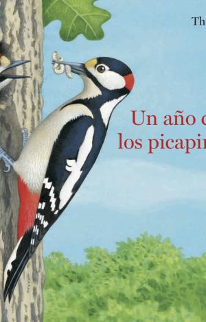 UN AÑO CON LOS PICAPINOS