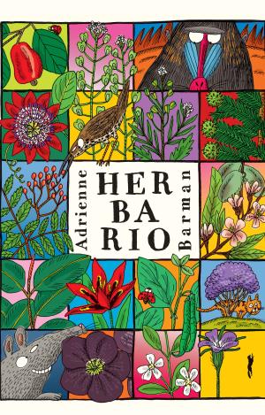 HERBARIO