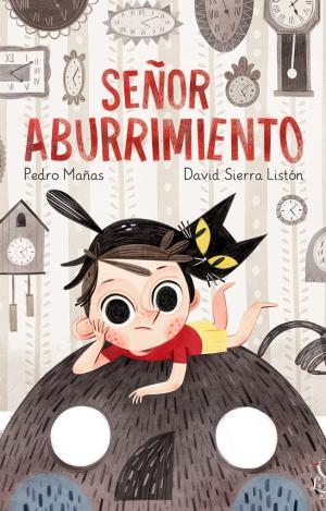 SEÑOR ABURRIMIENTO