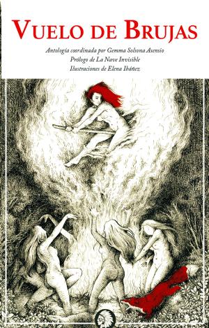VUELO DE BRUJAS