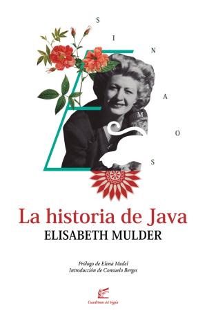 LA HISTORIA DE JAVA