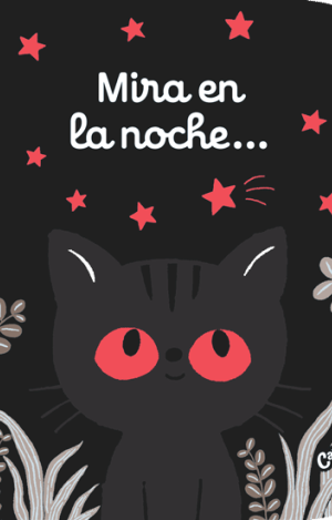 MIRA EN LA NOCHE